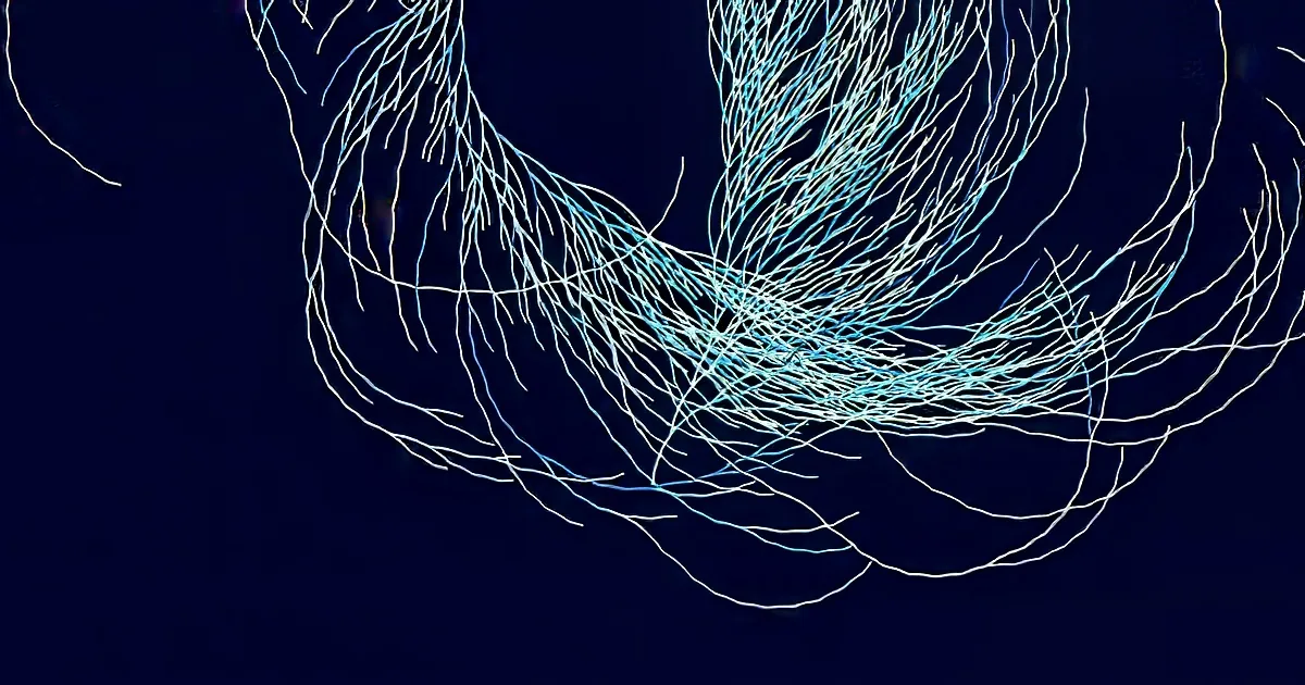 A complex network of intertwined blue and white lines against a dark background.