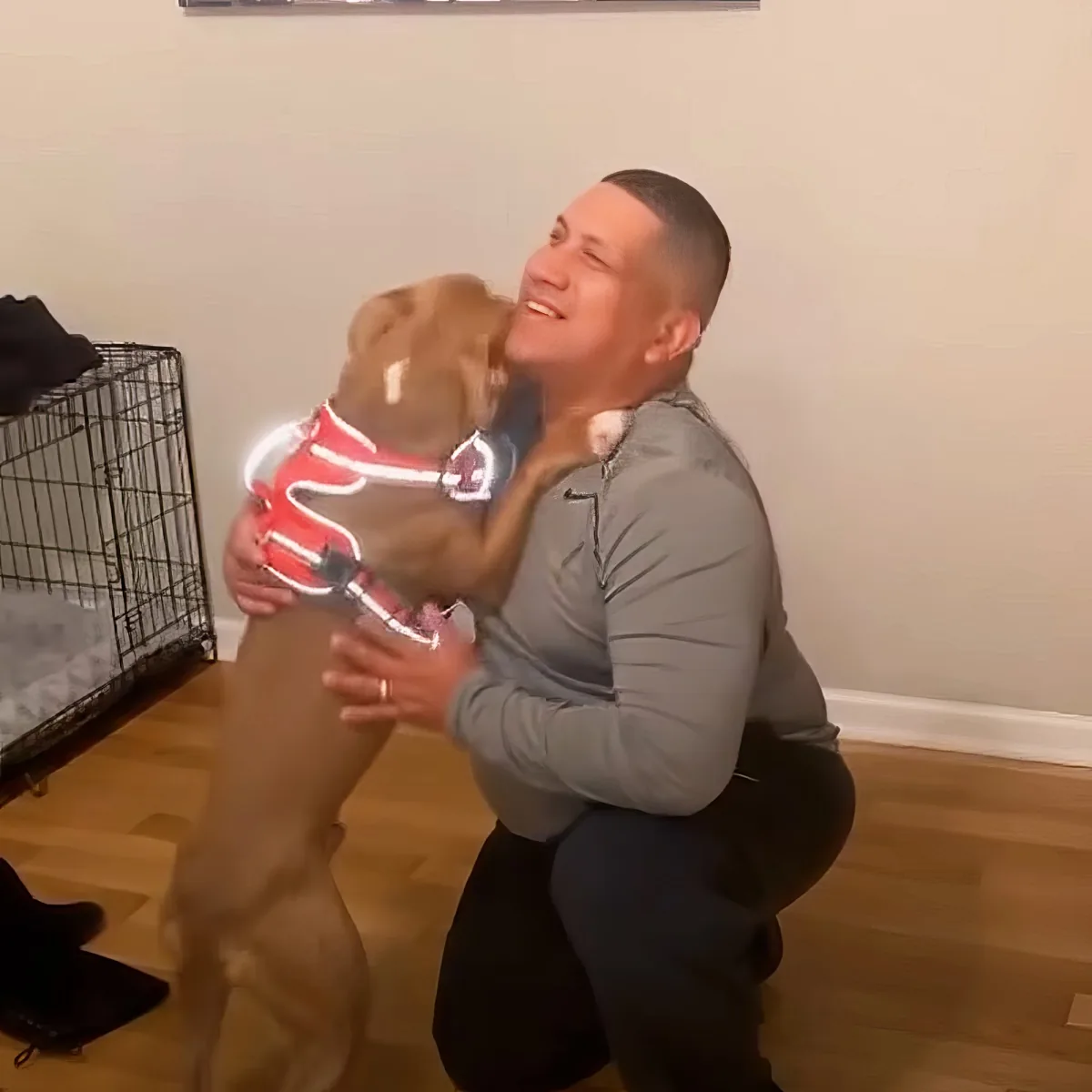 A man kneels, holding a dog in a red harness, both smiling and enjoying the moment.