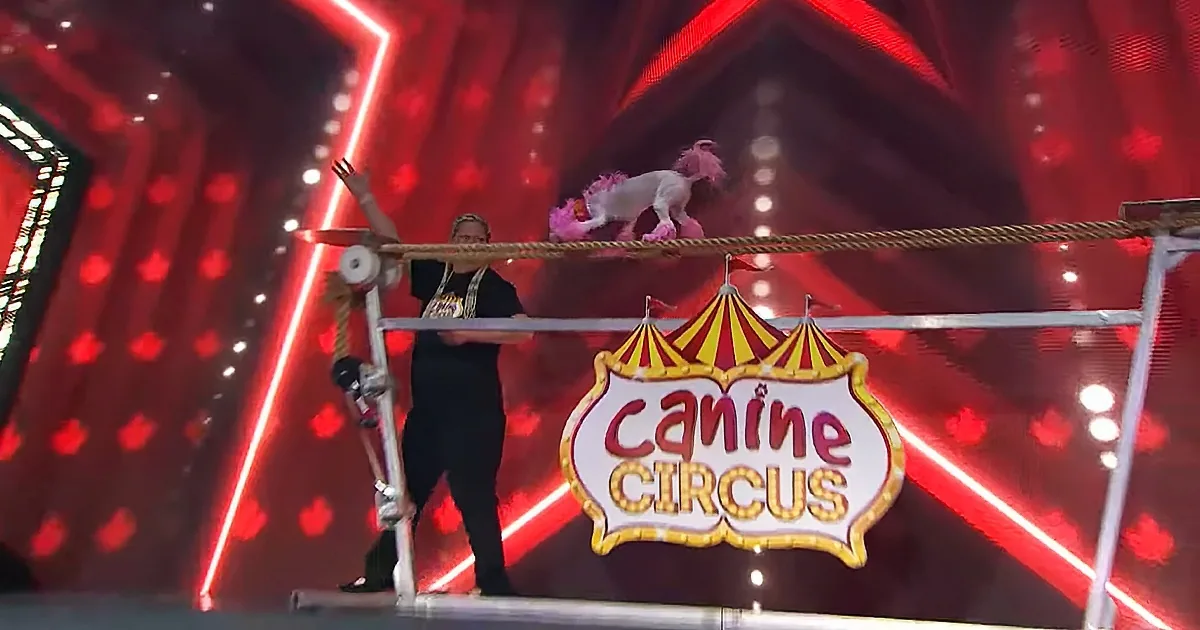 A dog balances on a tightrope at a circus-themed event, with a trainer nearby and a "Canine Circus" sign in the foreground.