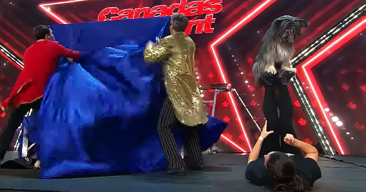 A dog stands on a person's legs while another person lifts a blue curtain on stage.