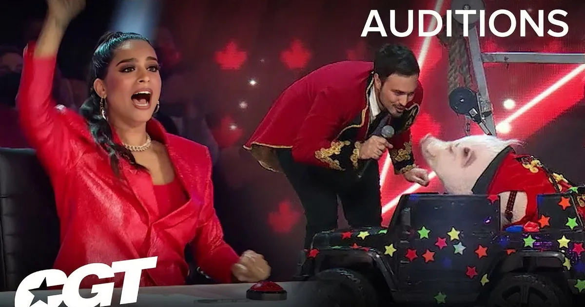 Canada's Got Talent Features a Crazy Canine Circus Act