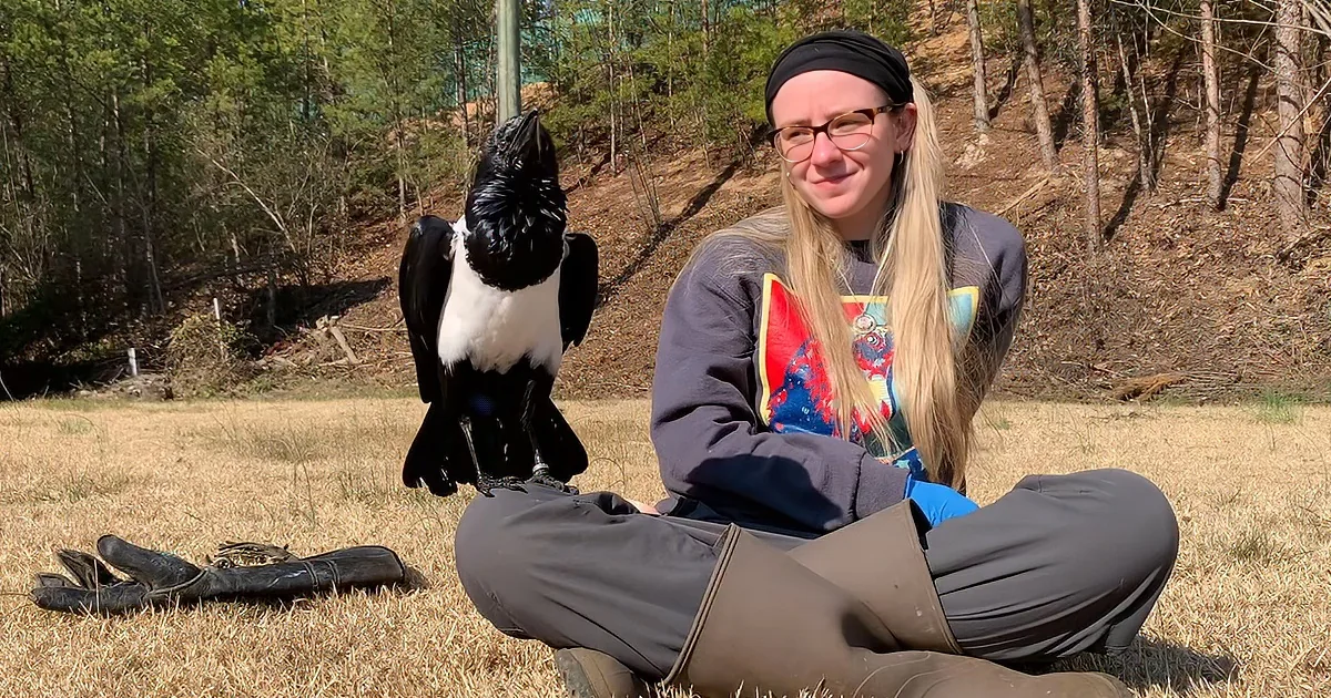 A person sits cross-legged on dry grass with a black and white bird perched on their hand.