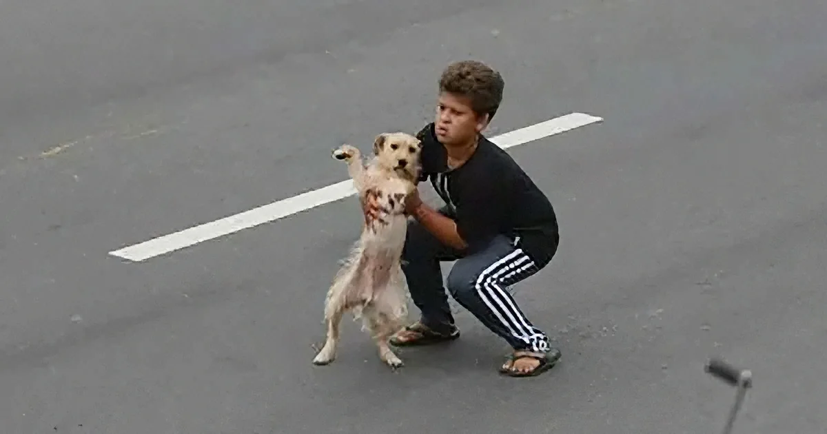 A boy in a black shirt and jeans crouches to hold a small dog on a road with white lines.