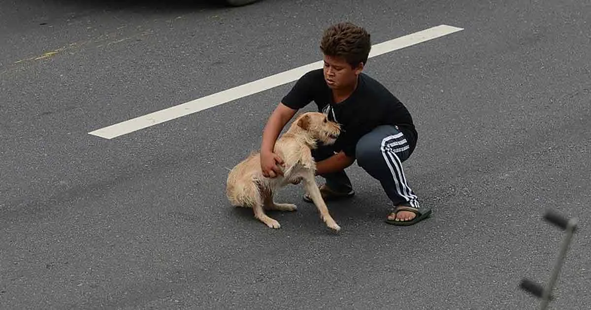 A boy crouches on asphalt, gently holding a wet dog, with a white line marking the road behind them.