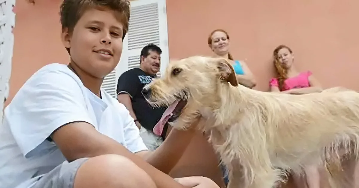 A boy pets a golden retriever while a family watches in the background.
