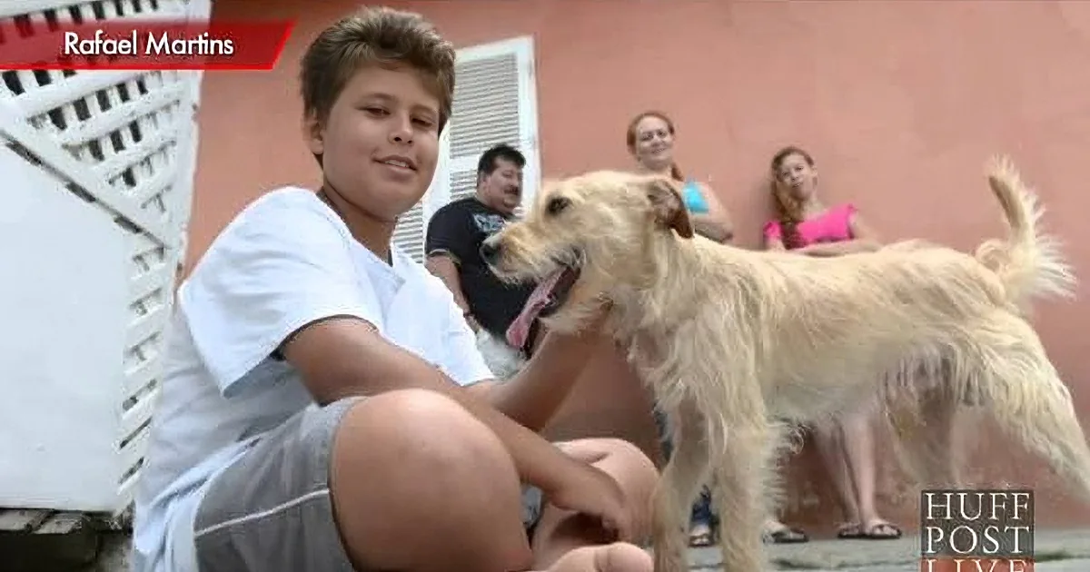 Boy Single-Handedly Stops Heavy Traffic to Rescue Dog Hit by Car