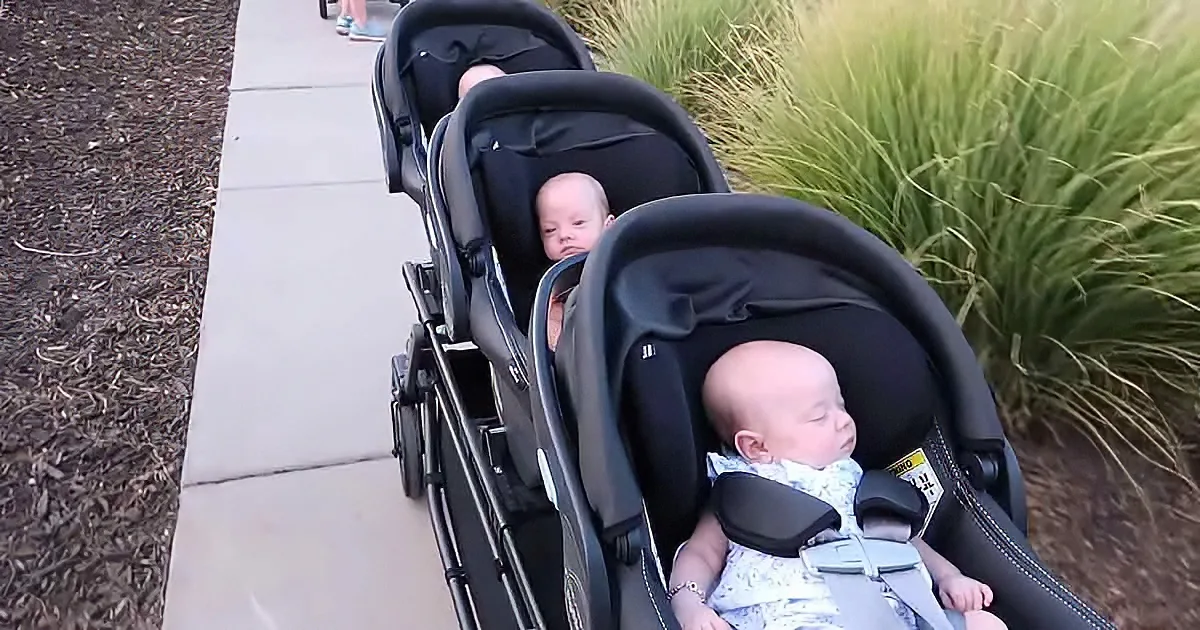 A stroller with three babies, two sleeping and one awake, on a sidewalk near greenery.