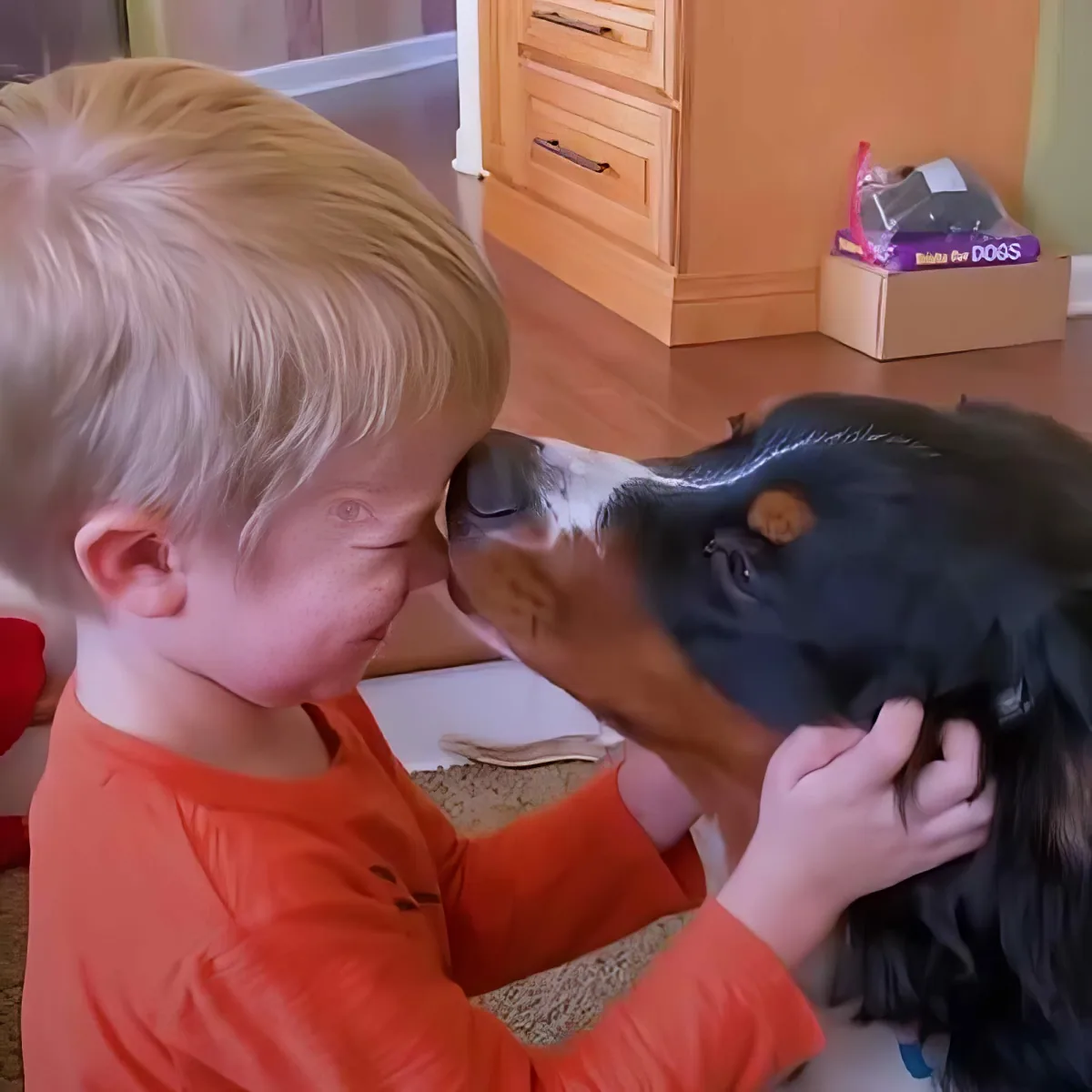 Little boy and his loyal dog