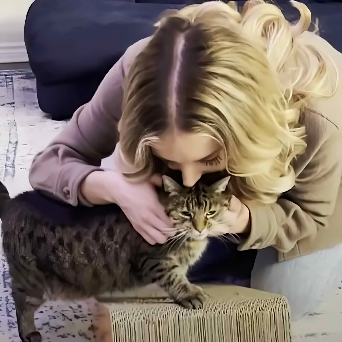 A woman with blonde hair pets a tabby cat on a couch.
