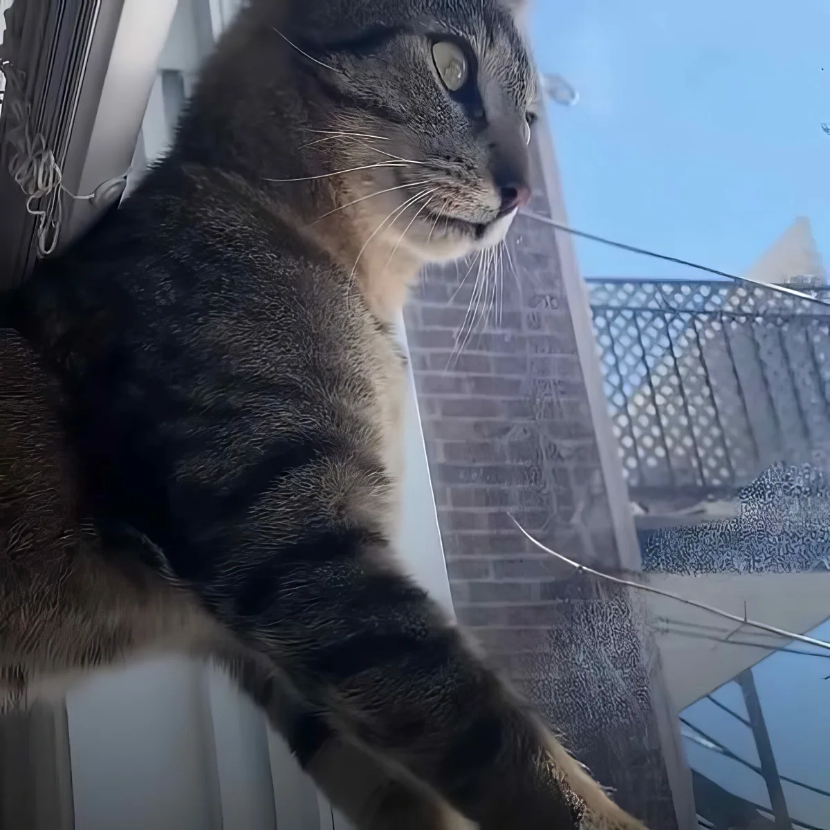 A tabby cat with green eyes sits on a windowsill, gazing outside.