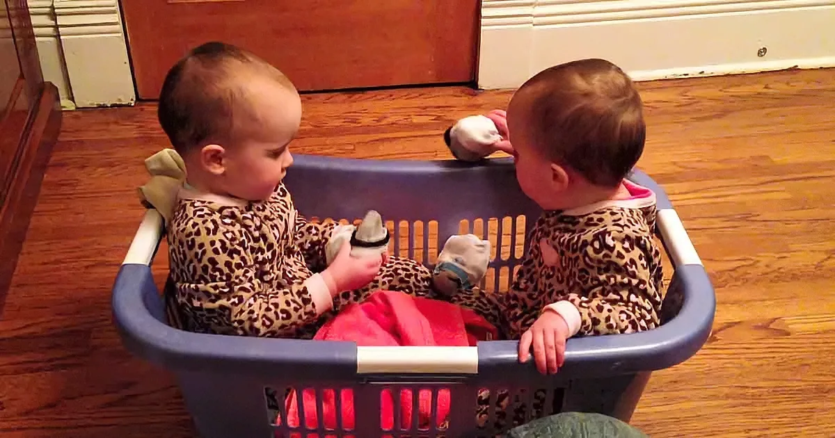 Two babies in leopard print outfits sit in a blue laundry basket on a wooden floor, holding toys.
