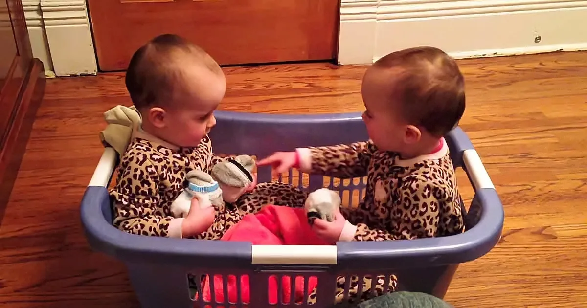 Darling Twin Toddlers Discuss Socks in a Laundry Basket