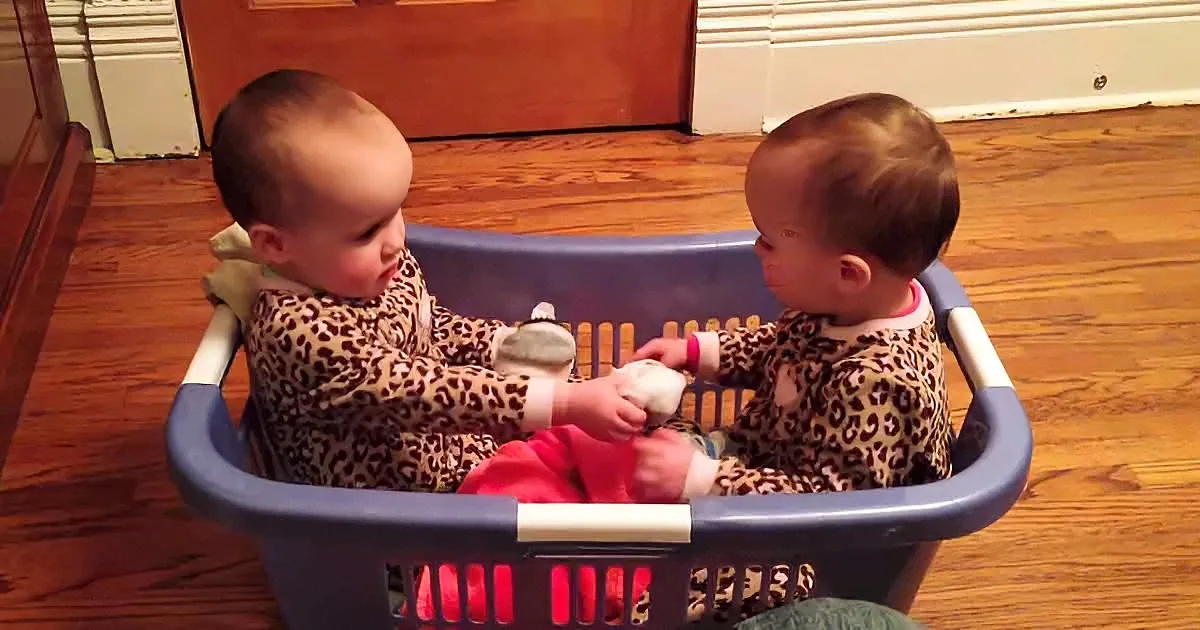 Two babies in leopard print dresses play with toys in a blue laundry basket on a wooden floor.