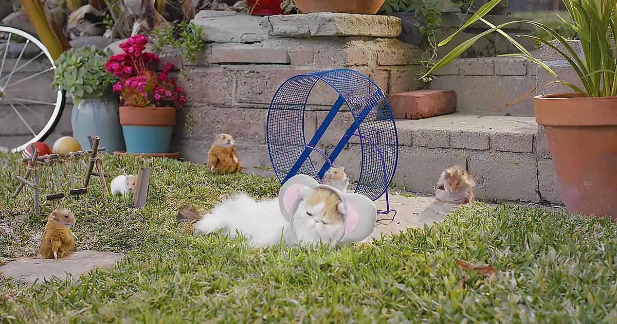 A cat lounges in a pink hat on grass, surrounded by hamsters and toys in a garden setting.