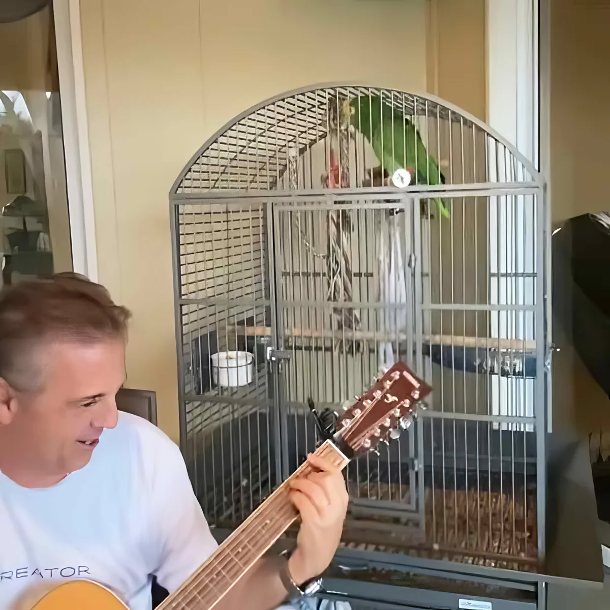 Talented parrot singing