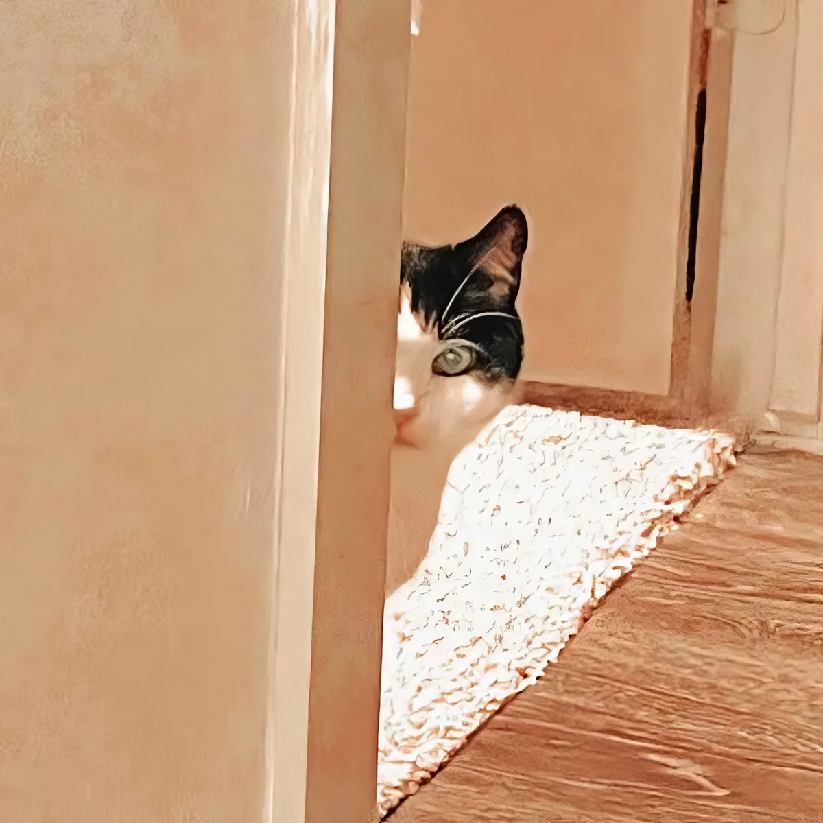 A black and white cat peers through a narrow gap in a door, with a textured white mat visible.