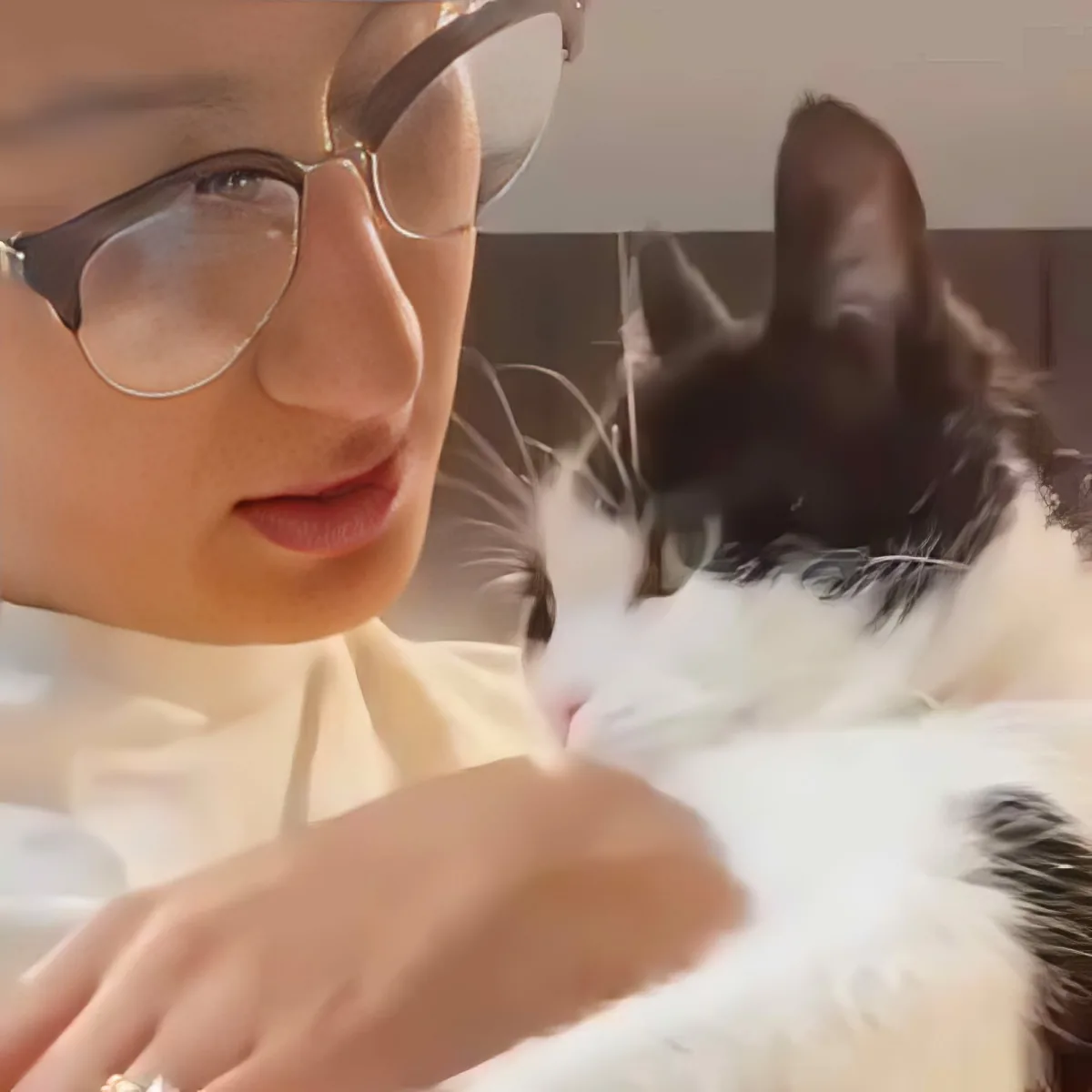 A person wearing glasses and a white shirt is petting a black and white cat.