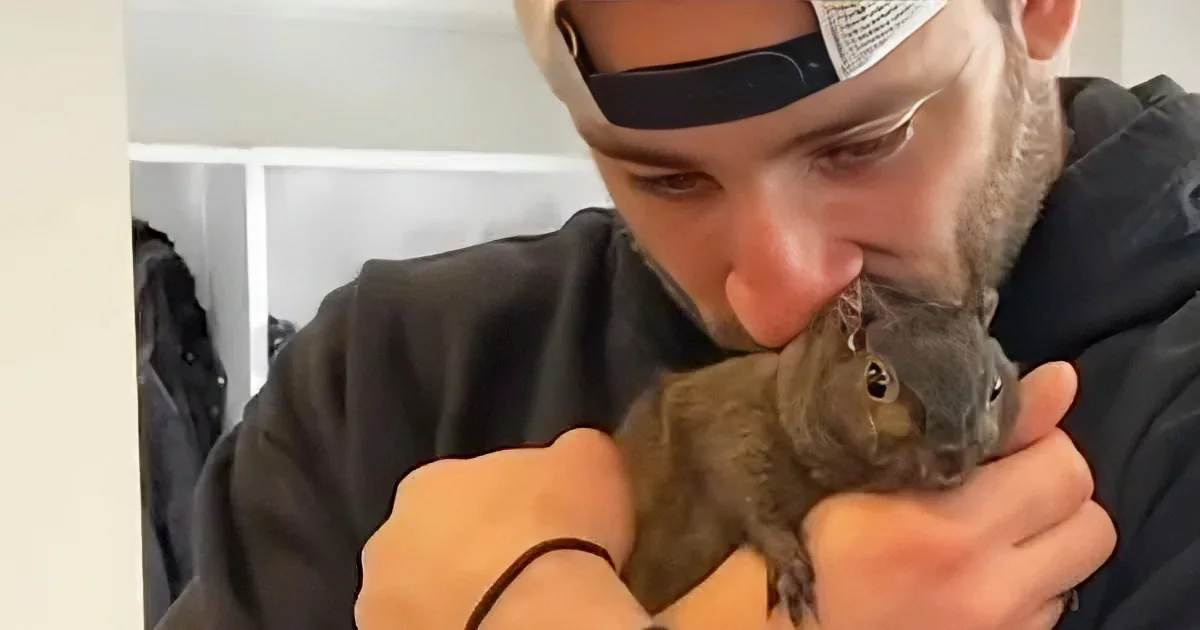A man holds a small gray squirrel close, both appearing calm and content.