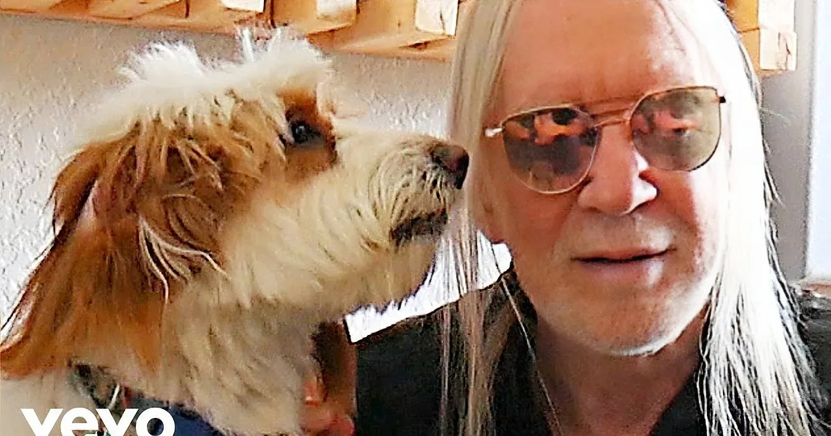 ''I Love My Dog' Music Video Is so Good, You'll Play It Again and Again'