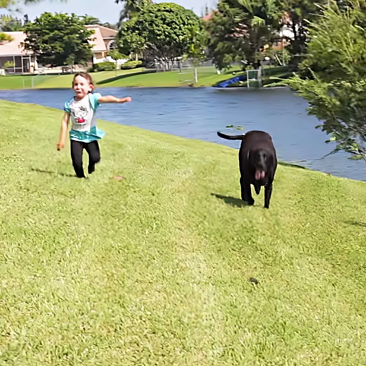 A young girl runs joyfully alongside a black dog on a grassy lawn near a pond.