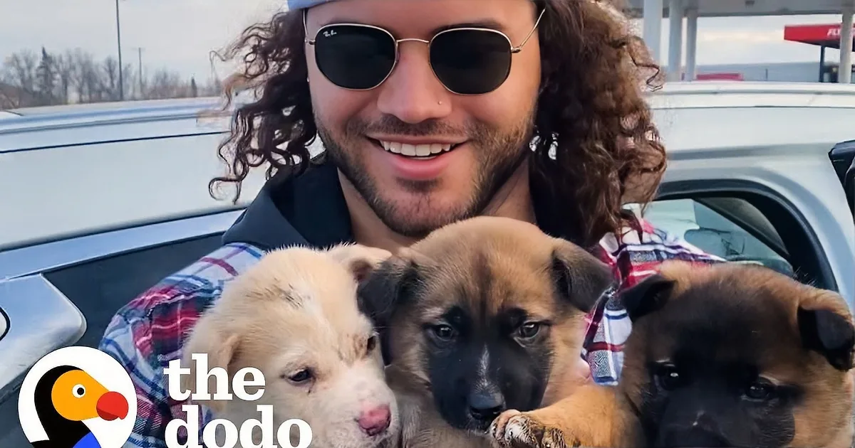 Guy Rushes to Save Puppies; Ends up Rescuing the Whole Family