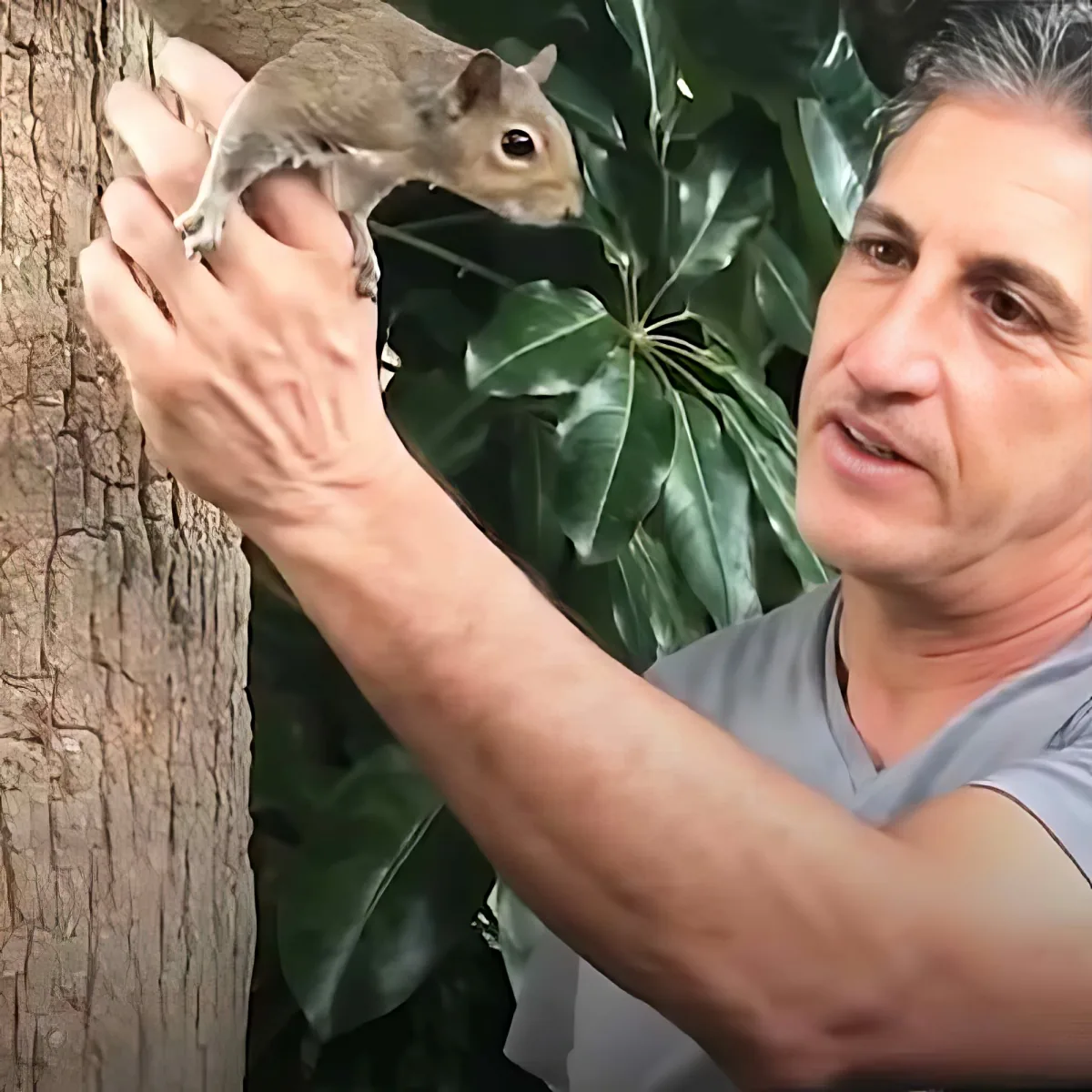 A man holds a squirrel on his hand, with a large green leafy plant in the background.
