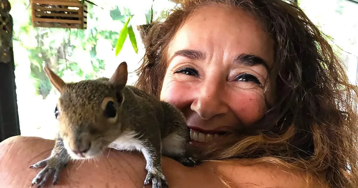 Baby Squirrel Stranded on Deck Visits People Who Saved Him