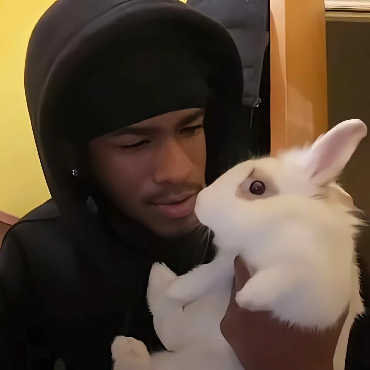 A person in a hoodie holds a white rabbit, both appearing calm and close.