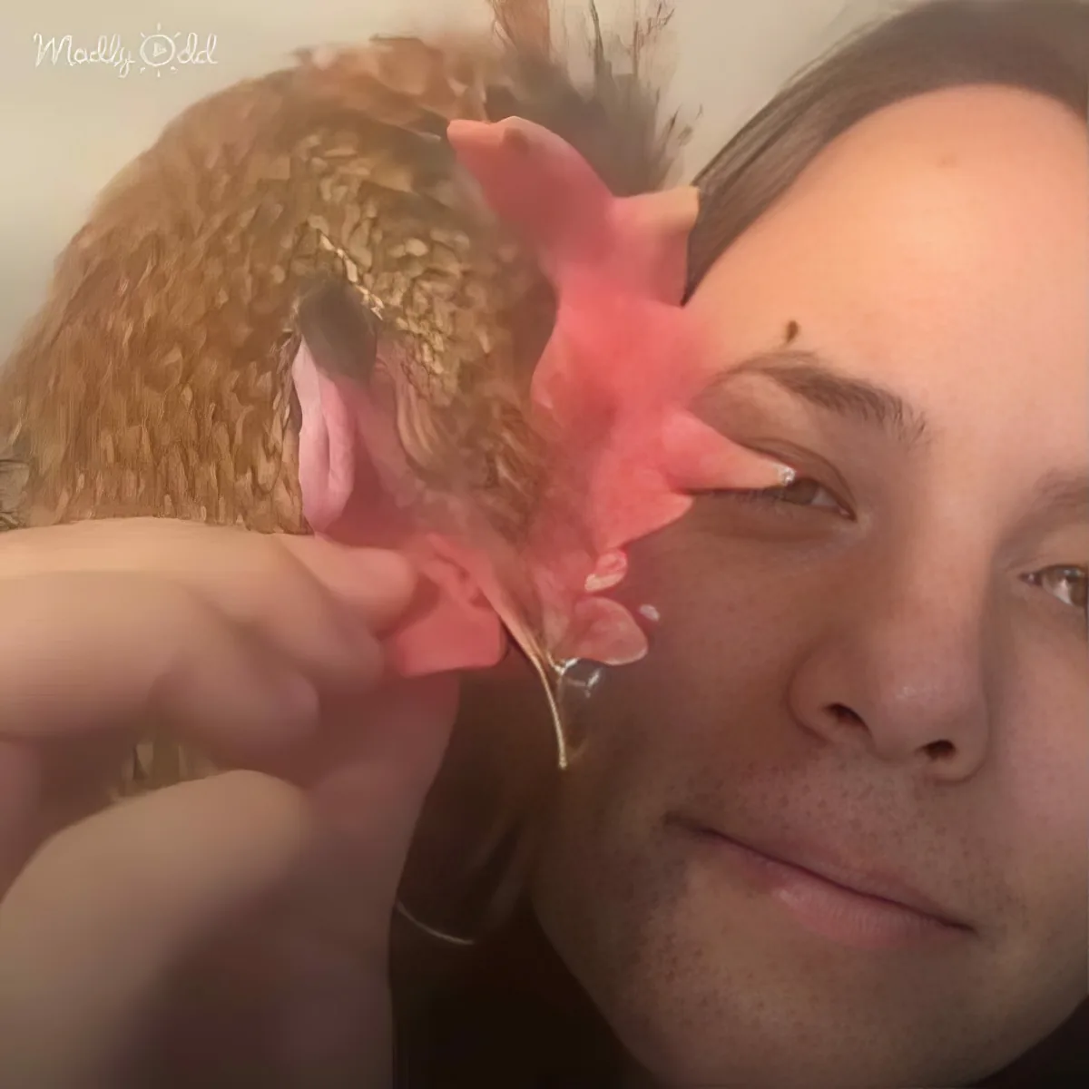 A person is holding a small, golden, textured object near their face, possibly a decorative item or a piece of food.