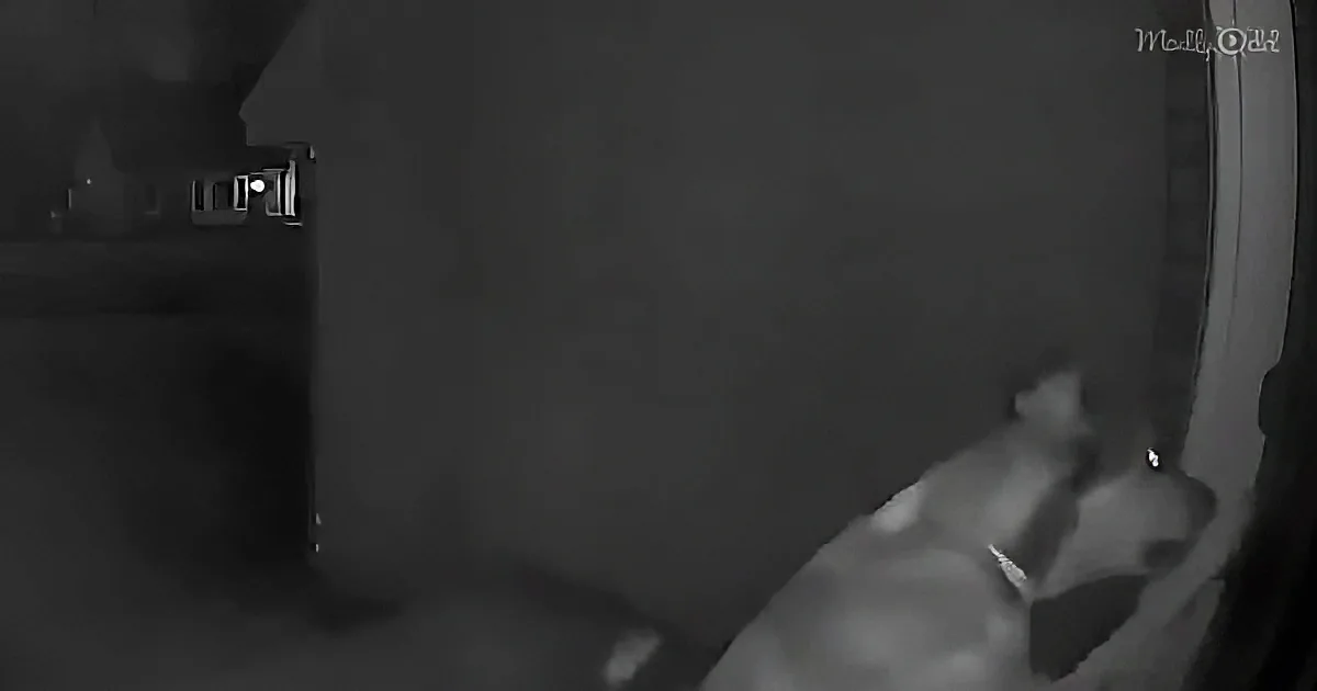 A person in a dark room, possibly in motion, with a light source in the background.