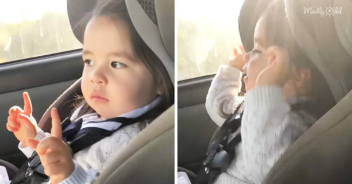 Cute Toddler Waits for Beat to Drop Before Dancing to 'Uptown Funk'