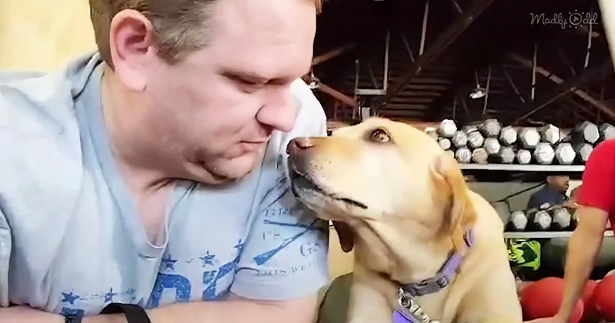 Rescue Dog Insists on Visiting the Gym With Dad Every Day