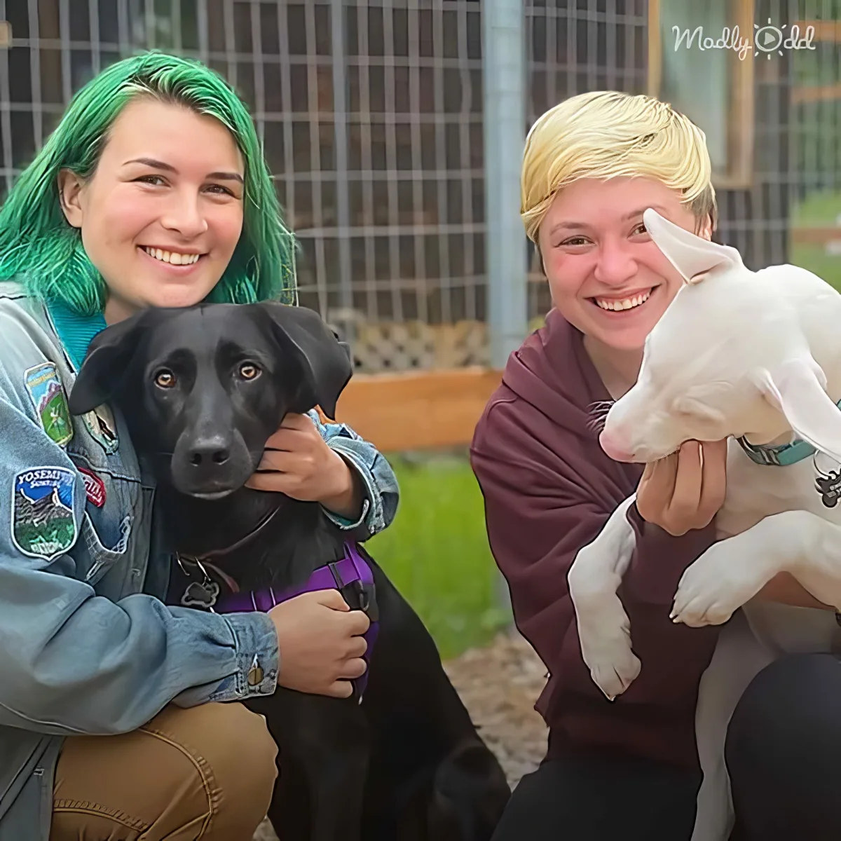 Stray puppy and human mom