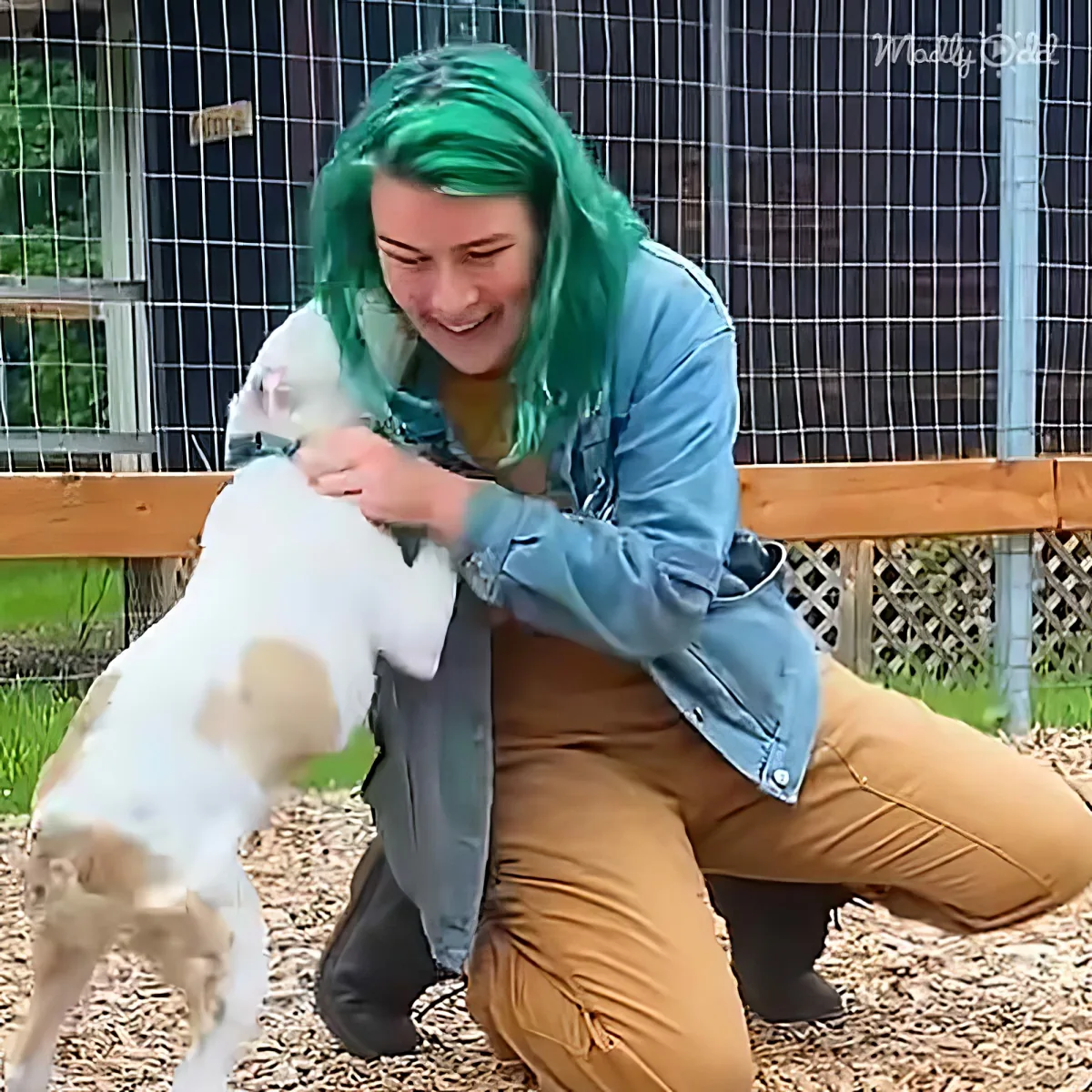 Stray puppy and human mom