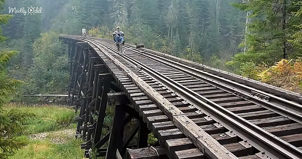 Extreme bikers riding on abandoned railroads