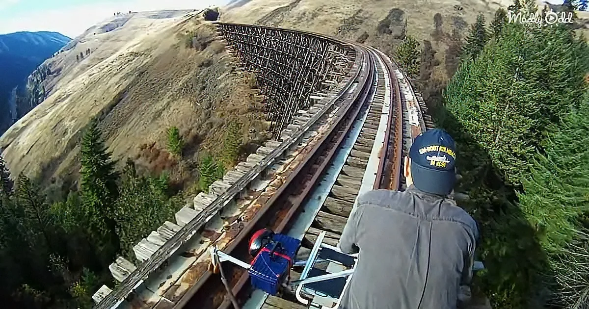 Extreme bikers riding on abandoned railroads