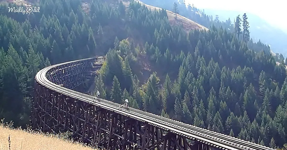 Extreme bikers riding on abandoned railroads