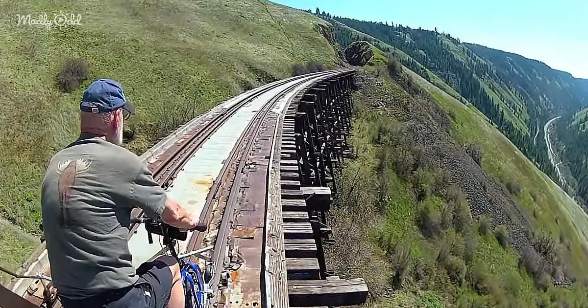 A man rides a bike on a narrow wooden trestle bridge high above a green valley.