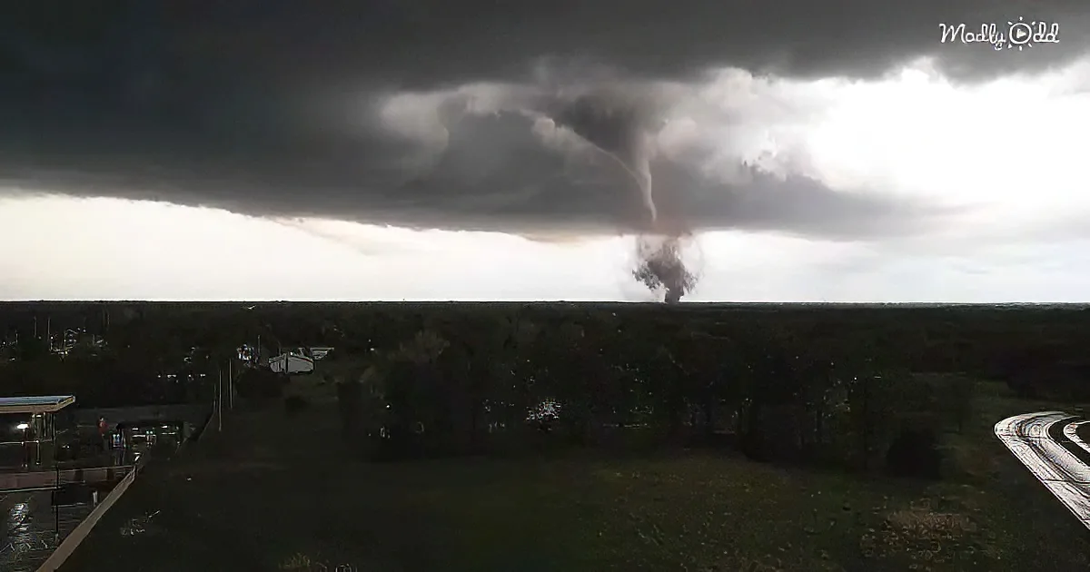 Tornado footage captured by drone