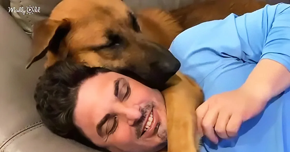 Woman Adopts a Rescued Dog That Instantly Becomes a Daddy's Boy