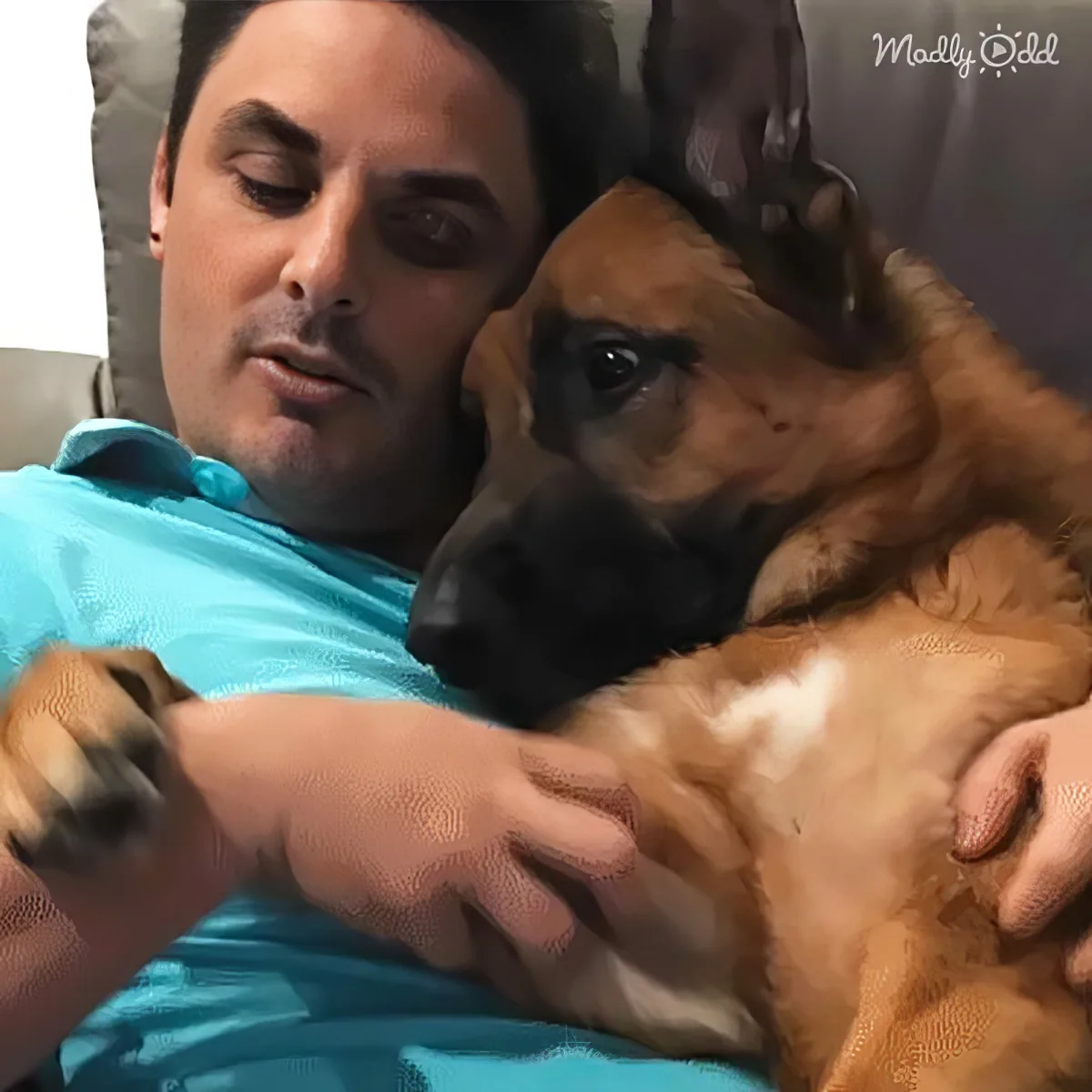 Rescued dog and his human dad