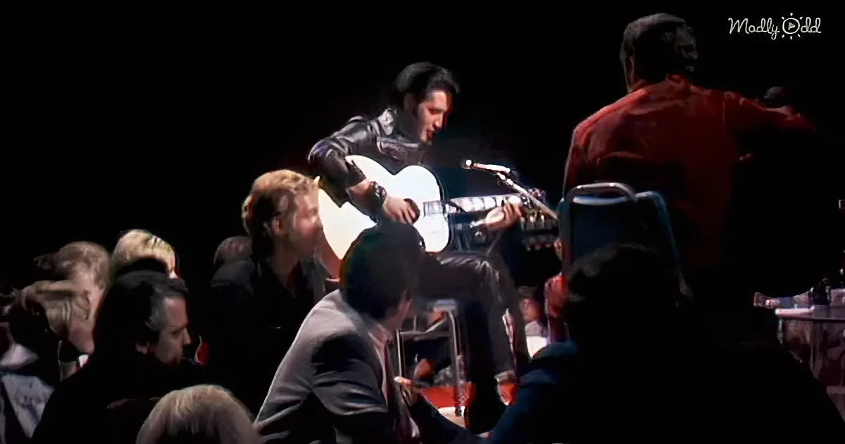 A man in a black hat and leather jacket plays guitar on stage, surrounded by an audience.