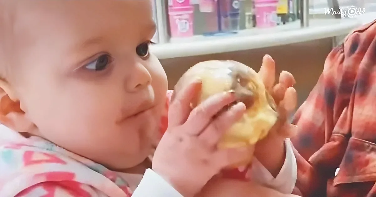 Baby in Shock After Trying Her First Bite of Ice Cream