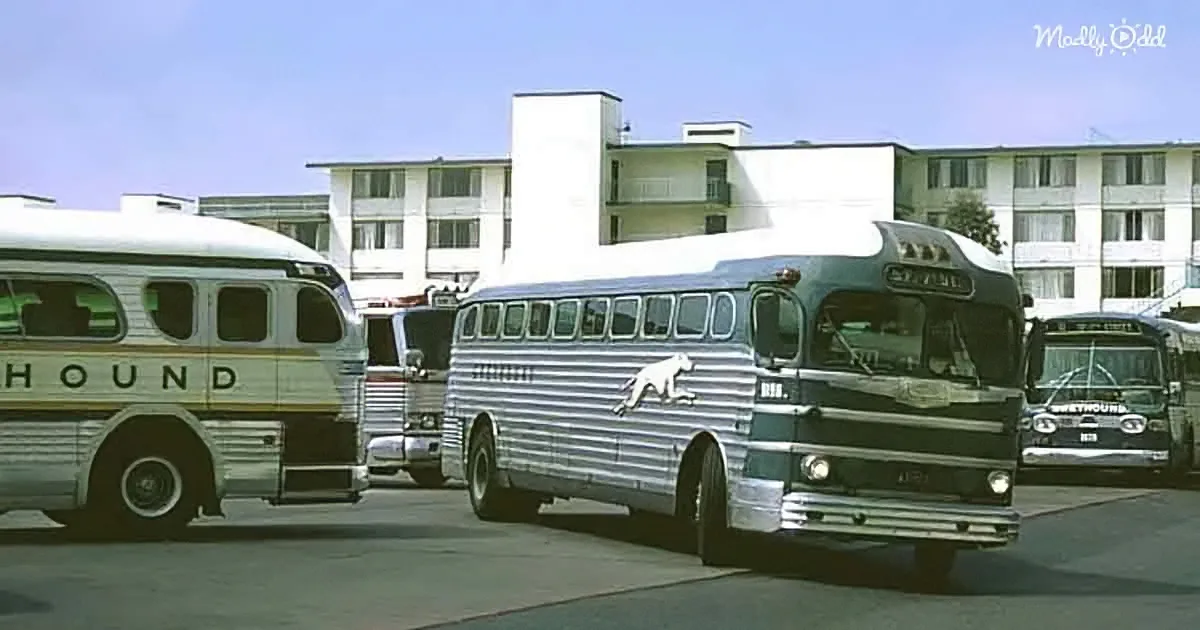 Back When Traveling by Greyhound Was a Family Adventure
