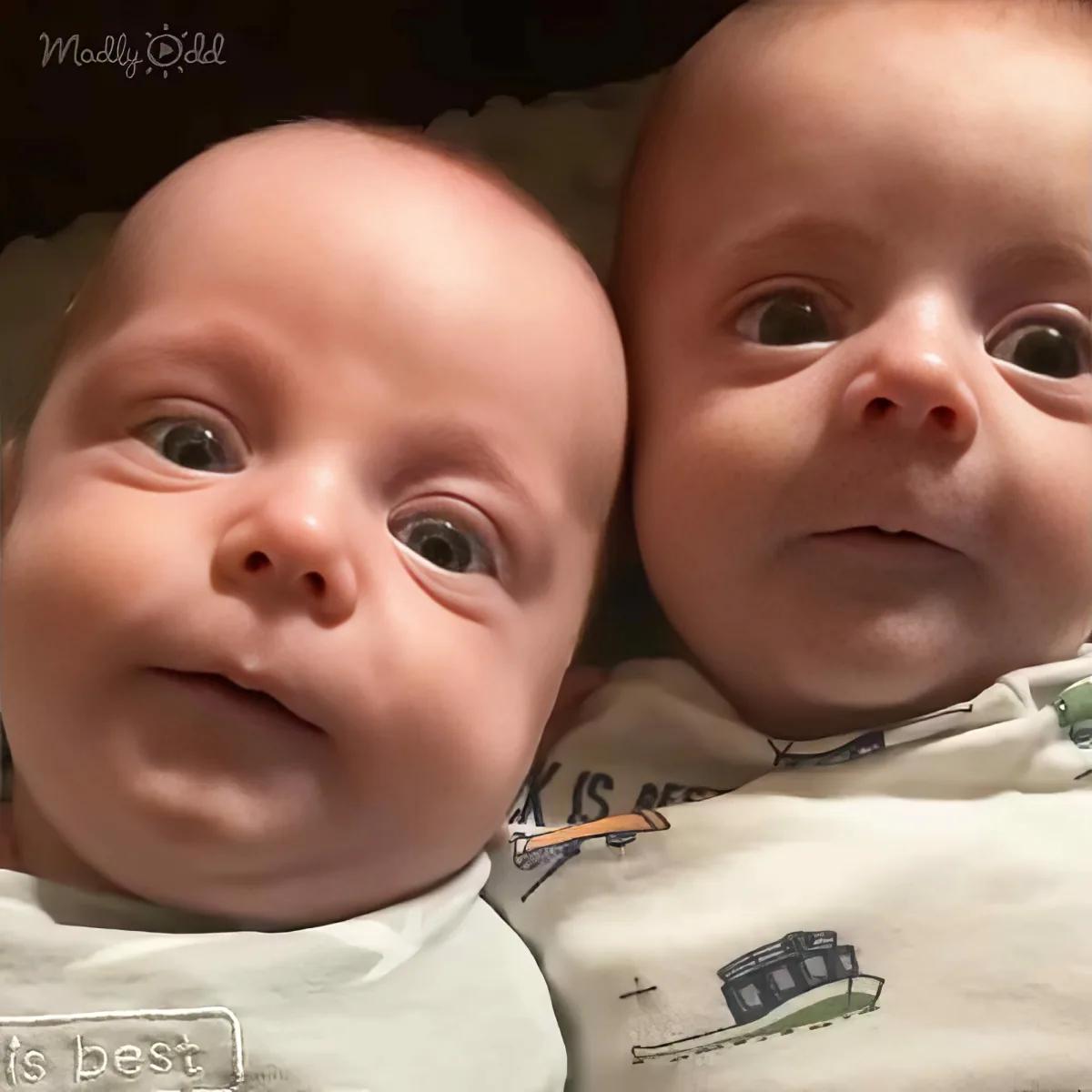 Cute twin babies