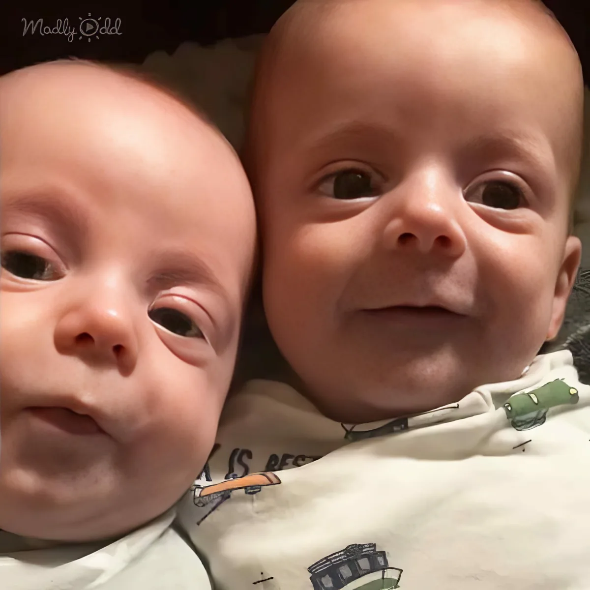 Cute twin babies