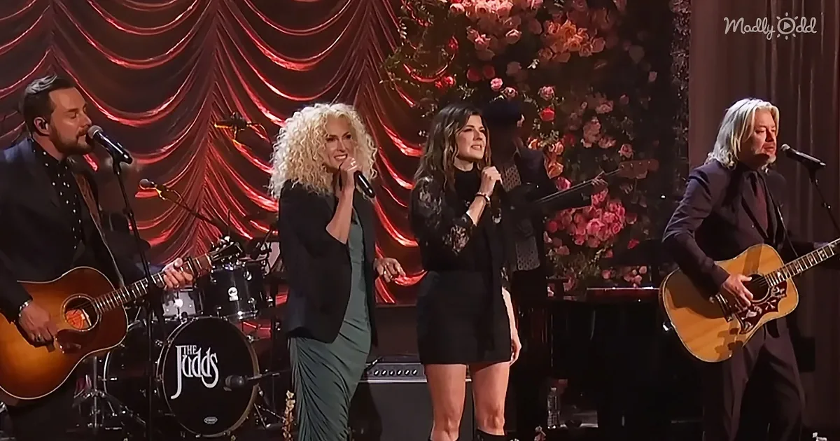 A group of musicians performs on stage, with a red curtain and floral backdrop, playing acoustic guitars and singing.