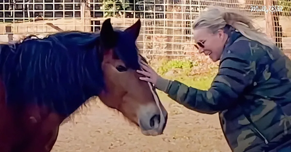 Oregon Woman Saves 1 Horse -- Then Ends up Rescuing 200 More Animals