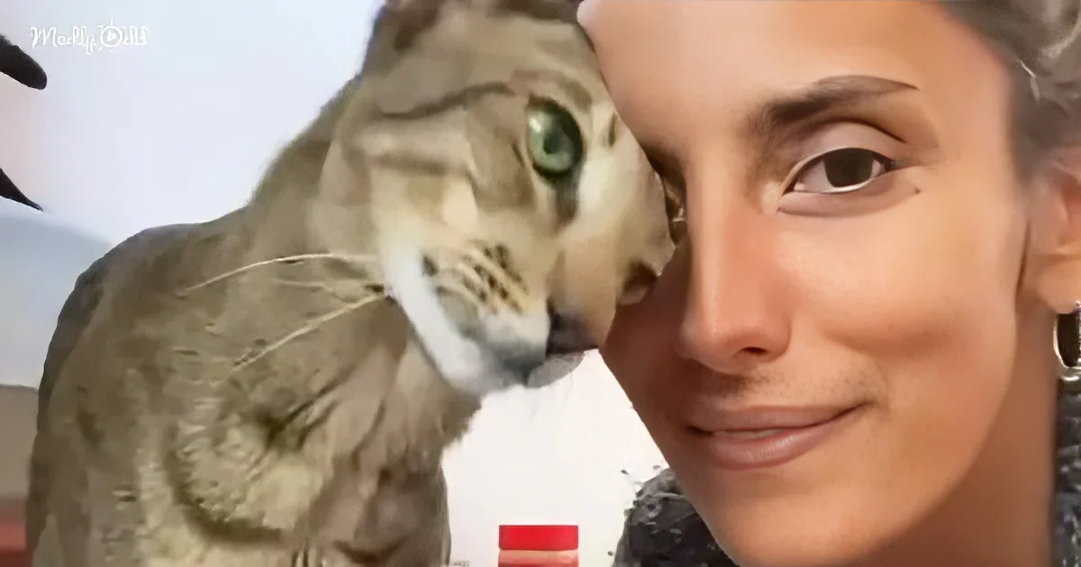 A woman smiles while a large, light-colored cat with striking green eyes rests its head on her shoulder.