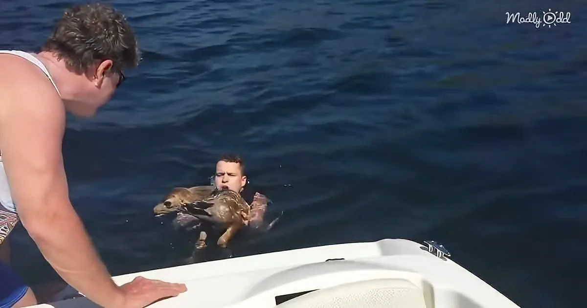 A man in a tank top leans over a boat, looking at another man in the water holding a large bird.